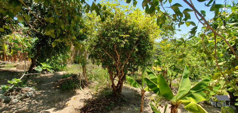 Imagem Casa com 4 Quartos à Venda, em Fernão Dias - Esmeraldas Imagem Casa com 4 Quartos à Venda, em Fernão Dias - Esmeraldas