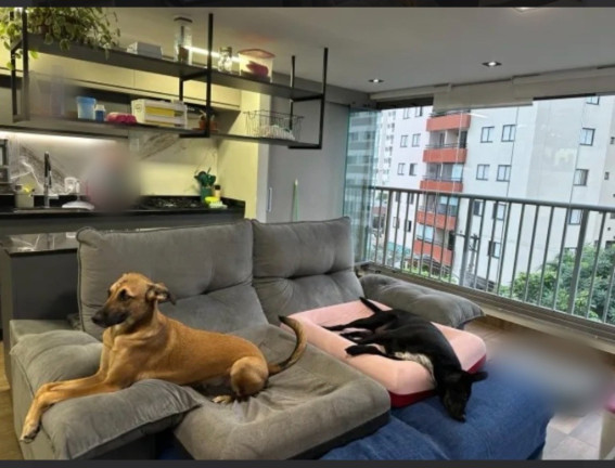 Imagem Apartamento com 2 Quartos à Venda, 57 m² em Vila Mariana - São Paulo Imagem Apartamento com 2 Quartos à Venda, 57 m² em Vila Mariana - São Paulo