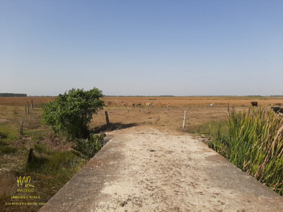 Imagem Imóvel à Venda, 48 m² em Dores De Macabu - Campos Dos Goytacazes Imagem Imóvel à Venda, 48 m² em Dores De Macabu - Campos Dos Goytacazes