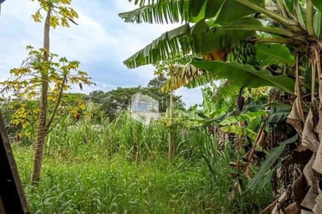 Imagem Terreno à Venda, 320 m² em Cidade Dutra - São Paulo Imagem Terreno à Venda, 320 m² em Cidade Dutra - São Paulo