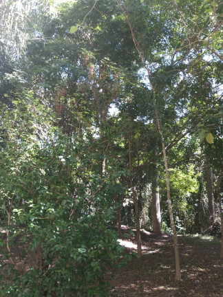 Imagem Apartamento com 2 Quartos à Venda, 56 m² em Parque Rincão - Cotia Imagem Apartamento com 2 Quartos à Venda, 56 m² em Parque Rincão - Cotia