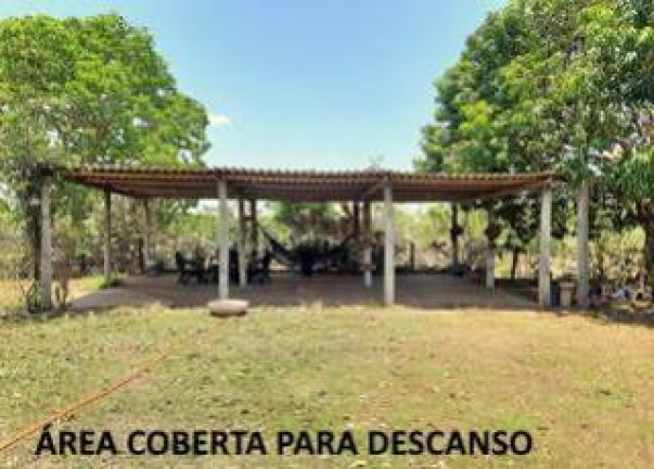 Imagem Fazenda à Venda, 1.357 m² em Jangada Imagem Fazenda à Venda, 1.357 m² em Jangada