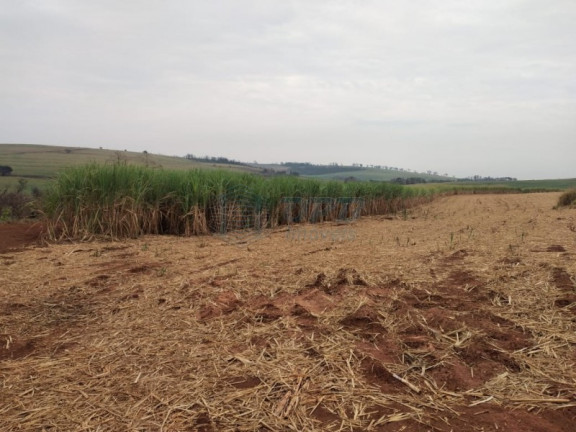 Imagem Imóvel à Venda, em Rural - Batatais Imagem Imóvel à Venda, em Rural - Batatais