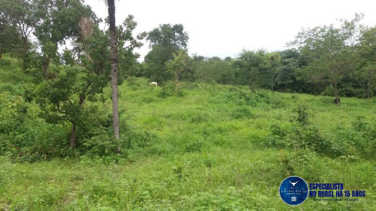 Imagem Fazenda à Venda, 34 m² em Zona Rural - Faina