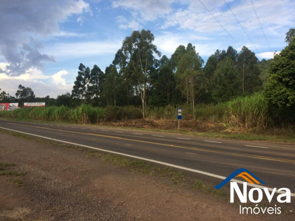 Imagem Imóvel à Venda, 10.211 m² em Linha Araripe - Nova Petrópolis Imagem Imóvel à Venda, 10.211 m² em Linha Araripe - Nova Petrópolis