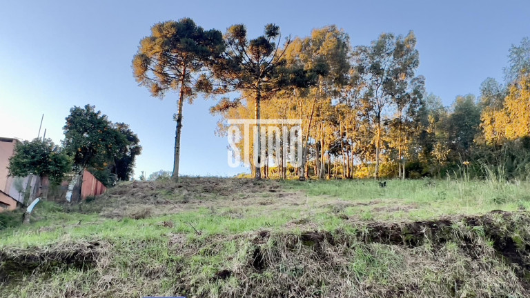 Imagem Terreno à Venda, 990 m² em Chácaras - Garibaldi Imagem Terreno à Venda, 990 m² em Chácaras - Garibaldi