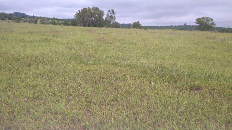 Fazenda à Venda, 42 m² em Rural - Avaré