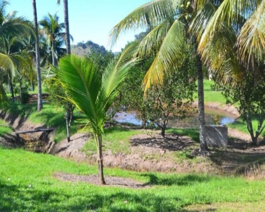 Imagem Imóvel à Venda, em . - Tanguá Imagem Imóvel à Venda, em . - Tanguá