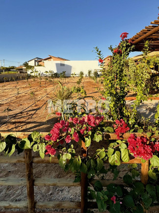 Imagem Terreno à Venda, 500 m² em Estrada Da Tapera - Petrolina Imagem Terreno à Venda, 500 m² em Estrada Da Tapera - Petrolina