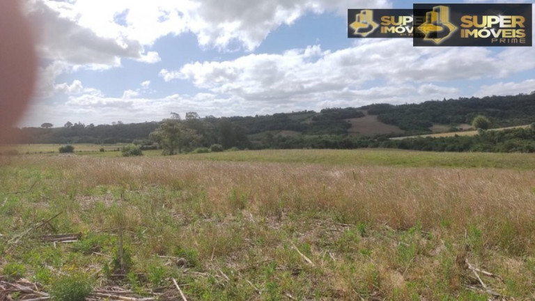 Imagem Imóvel com 2 Quartos à Venda, 240.000 m² em Centro - Morro Redondo