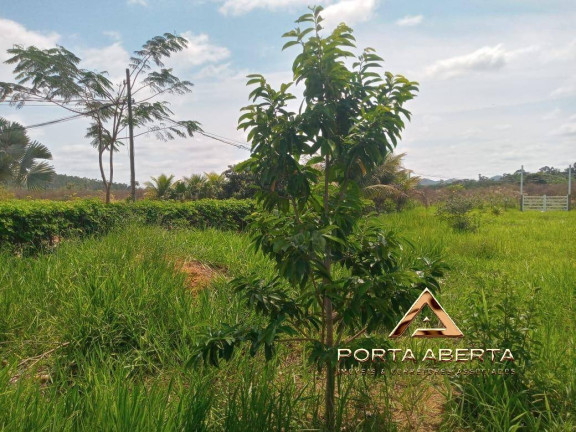 Imagem Terreno à Venda, 4.000 m² em Bom Jesus Do Galho Imagem Terreno à Venda, 4.000 m² em Bom Jesus Do Galho