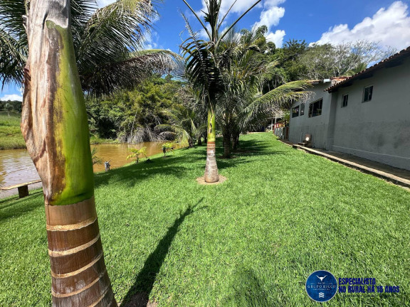 Imagem Chácara à Venda, 5 m² em Zona Rural - Bela Vista De Goiás Imagem Chácara à Venda, 5 m² em Zona Rural - Bela Vista De Goiás