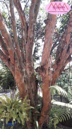 Imagem Imóvel com 2 Quartos à Venda, 50 m² em Quarta Divisão - Ribeirão Pires