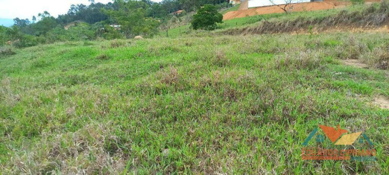 Imagem Imóvel à Venda, 31.000 m² em Capim Da Angola - Paraibuna