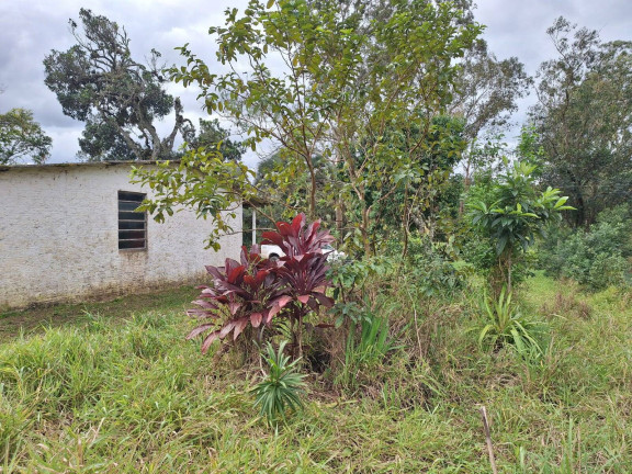 Imagem Chácara com 2 Quartos à Venda, 12.000 m² em Santo Onofre - Viamão