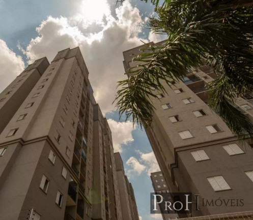Imagem Apartamento com 3 Quartos à Venda, 66 m² em Vila Metalúrgica - Santo André Imagem Apartamento com 3 Quartos à Venda, 66 m² em Vila Metalúrgica - Santo André