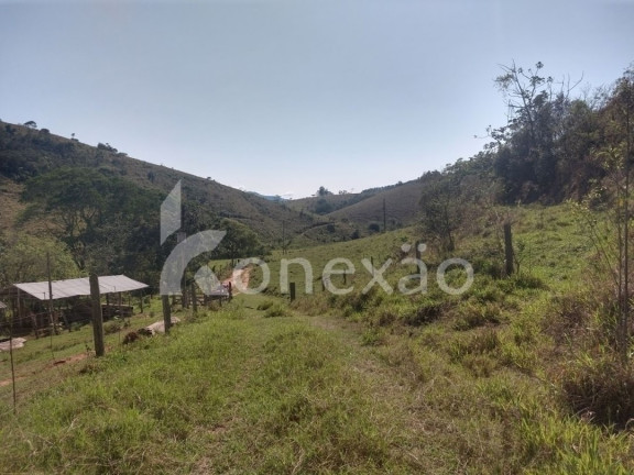 Imagem Fazenda à Venda, 100 m² em Monte Belo - Taubaté Imagem Fazenda à Venda, 100 m² em Monte Belo - Taubaté