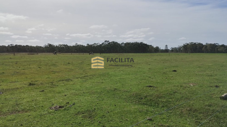 Imagem Imóvel com 2 Quartos à Venda, 470.000 m² em Quinta - Rio Grande Imagem Imóvel com 2 Quartos à Venda, 470.000 m² em Quinta - Rio Grande