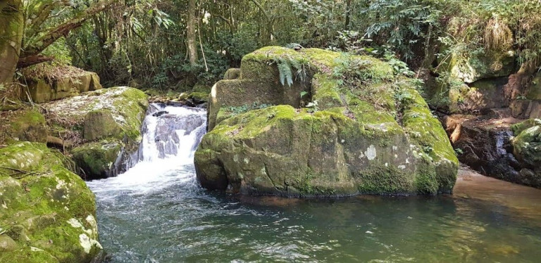 Imagem Chácara com 2 Quartos à Venda, 100 m² em Campos De Cunha - Silveiras