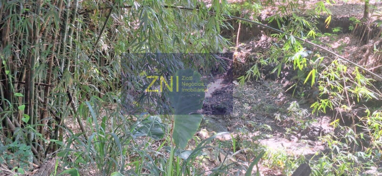 Imagem Chácara com 5 Quartos à Venda, 4.068 m² em Jardim Do Trevo - Ribeirão Preto