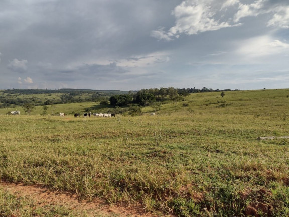 Imagem Imóvel à Venda, 10 m² em área Rural De Avaí - Avaí Imagem Imóvel à Venda, 10 m² em área Rural De Avaí - Avaí