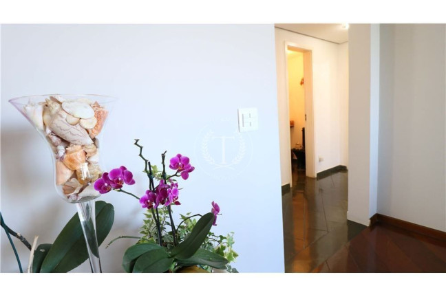 Imagem Apartamento com 5 Quartos à Venda, 170 m² em Vila Suzana - São Paulo Imagem Apartamento com 5 Quartos à Venda, 170 m² em Vila Suzana - São Paulo