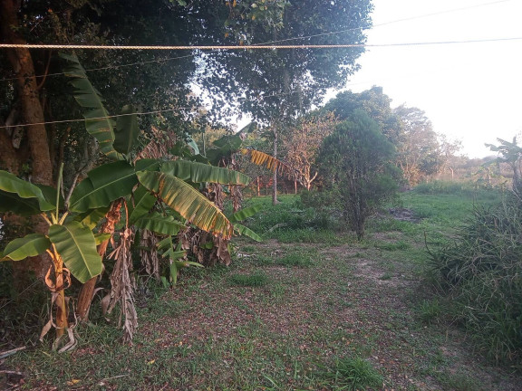 Imagem Casa com 3 Quartos à Venda, 2.400 m² em águas Claras - Viamão Imagem Casa com 3 Quartos à Venda, 2.400 m² em águas Claras - Viamão