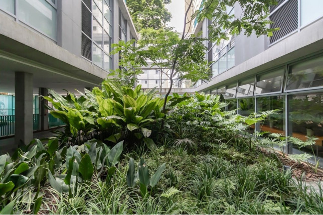 Imagem Imóvel com 1 Quarto à Venda, 64 m² em Moema - São Paulo