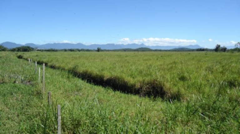 Imagem Imóvel à Venda, 250.000 m² em Santa Catarina - Joinville