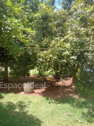 Imagem Fazenda à Venda, 100 m² em Centro (alfredo Guedes) - Lençóis Paulista Imagem Fazenda à Venda, 100 m² em Centro (alfredo Guedes) - Lençóis Paulista