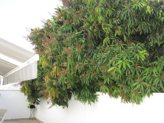 Imagem Sobrado com 3 Quartos à Venda, 250 m² em Jardim Village Saint Claire - Sorocaba Imagem Sobrado com 3 Quartos à Venda, 250 m² em Jardim Village Saint Claire - Sorocaba