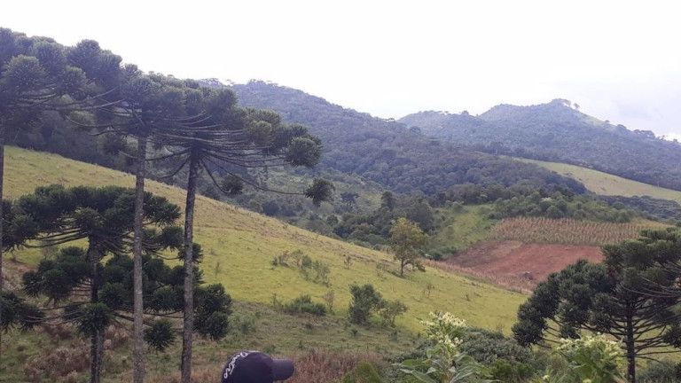 Imagem Fazenda à Venda, 120 m² em Centro - Passa Quatro Imagem Fazenda à Venda, 120 m² em Centro - Passa Quatro
