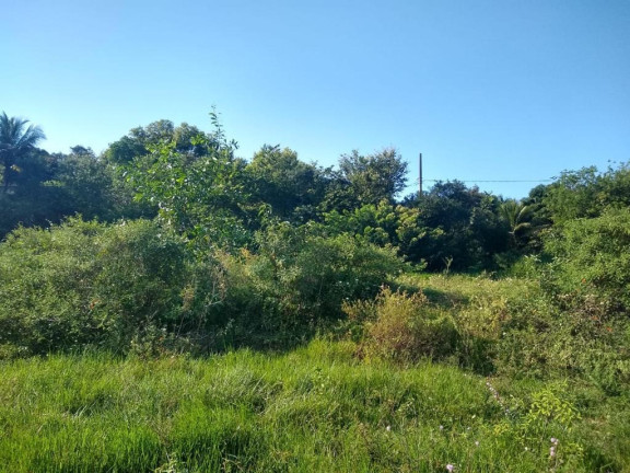 Imagem Imóvel à Venda, 874 m² em Palmeiras - Guaraparia