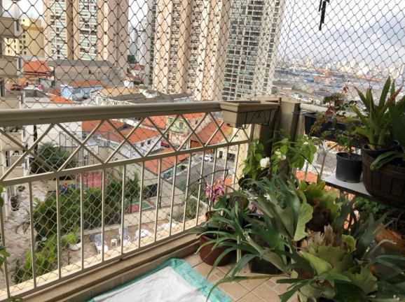 Imagem Imóvel com 4 Quartos à Venda, 125 m² em Mooca - São Paulo Imagem Imóvel com 4 Quartos à Venda, 125 m² em Mooca - São Paulo