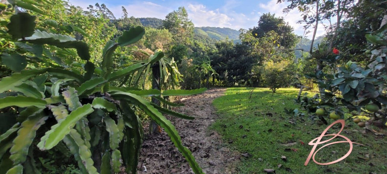 Imagem Imóvel com 2 Quartos à Venda, 40.000 m² em Ilhota - Ilhota
