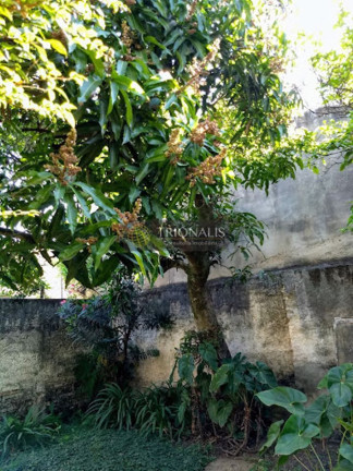 Imagem Casa com 3 Quartos à Venda, 182 m² em Jardim Brasil - Atibaia Imagem Casa com 3 Quartos à Venda, 182 m² em Jardim Brasil - Atibaia