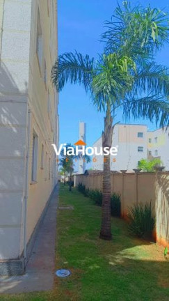 Imagem Apartamento com 2 Quartos à Venda, 47 m² em Jardim Paulista - Rio Claro Imagem Apartamento com 2 Quartos à Venda, 47 m² em Jardim Paulista - Rio Claro