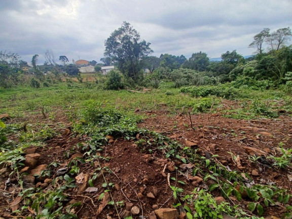 Imagem Casa com 2 Quartos à Venda, 56 m² em Rural - Concórdia Imagem Casa com 2 Quartos à Venda, 56 m² em Rural - Concórdia