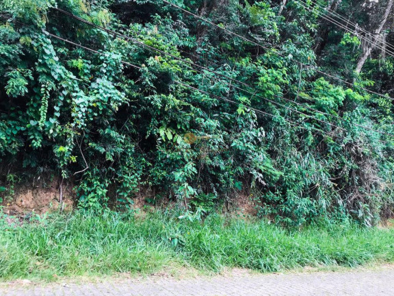 Imagem Terreno à Venda, 3.540 m² em Quinta Da Barra - Teresópolis Imagem Terreno à Venda, 3.540 m² em Quinta Da Barra - Teresópolis