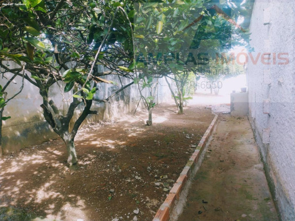 Imagem Casa com 1 Quarto à Venda, 130 m² em Vila Suzana - Mateus Leme