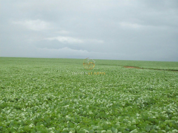 Imagem Imóvel com 3 Quartos à Venda, 57.000 m² em Zona Rural - Santana Do Araguaia Imagem Imóvel com 3 Quartos à Venda, 57.000 m² em Zona Rural - Santana Do Araguaia