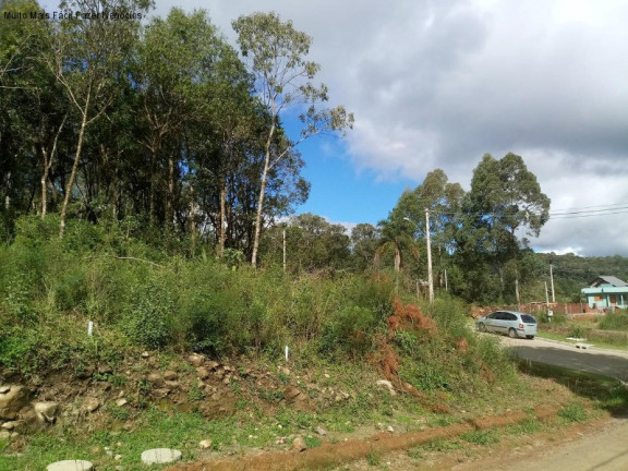 Terreno à Venda, 386 m² em Linha Imperial - Nova Petrópolis