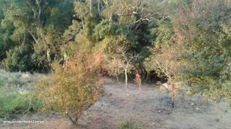 Imagem Chácara à Venda, em Consultar - Ibiúna Imagem Chácara à Venda, em Consultar - Ibiúna