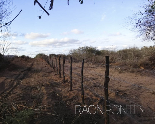 Imagem Fazenda à Venda, 1.710.000 m² em Zona Rural - São Pedro Imagem Fazenda à Venda, 1.710.000 m² em Zona Rural - São Pedro