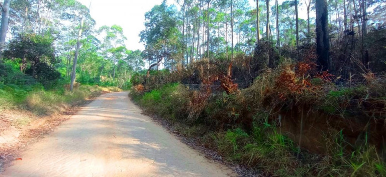 Imagem Imóvel à Venda, 266.200 m² em Pedra Vermelha (terra Preta) - Mairiporã Imagem Imóvel à Venda, 266.200 m² em Pedra Vermelha (terra Preta) - Mairiporã