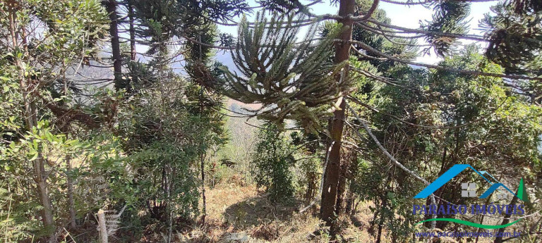 Imagem Chácara à Venda, 49 m² em Centro - Gonçalves