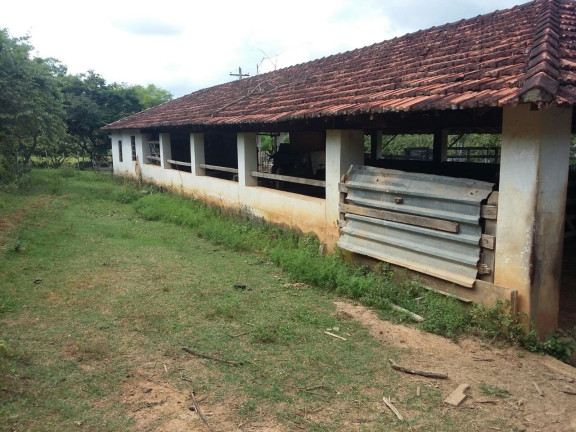 Imagem Fazenda à Venda, 100 m² em Centro - Taubaté Imagem Fazenda à Venda, 100 m² em Centro - Taubaté