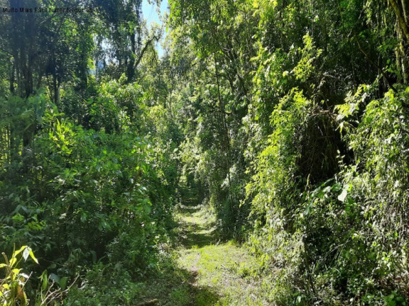 Imagem Imóvel com 2 Quartos à Venda, 70 m² em Linha Pirajá Baixa - Nova Petrópolis Imagem Imóvel com 2 Quartos à Venda, 70 m² em Linha Pirajá Baixa - Nova Petrópolis