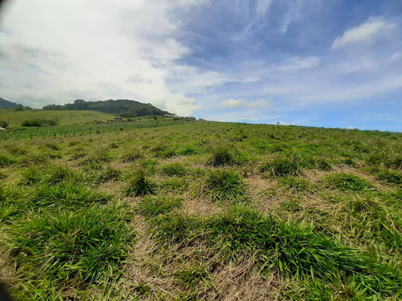 Imagem Terreno à Venda, 1.900 m² em Taubaté Imagem Terreno à Venda, 1.900 m² em Taubaté
