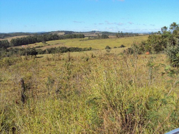 Imagem Imóvel com 2 Quartos à Venda, 266.200 m² em Zona Rural - Jacui